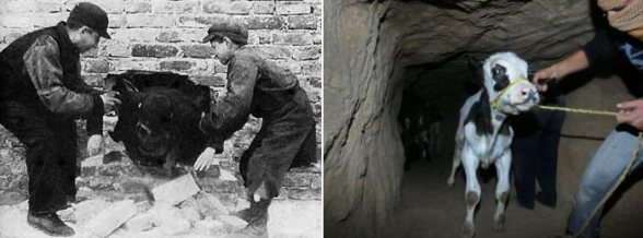 Smuggling to survive deprivation. On the Left: Warsaw WWII On the Right: Gaza 2012